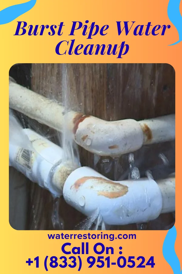 Burst Pipe Water Cleanup in Forest Heights, MD