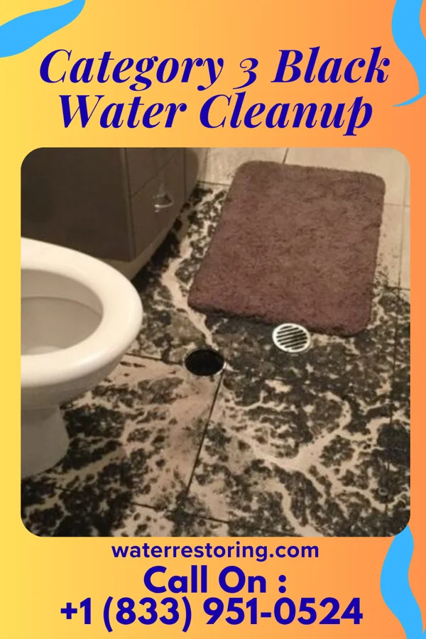 Category 3 Black Water Cleanup in Forest Heights, MD