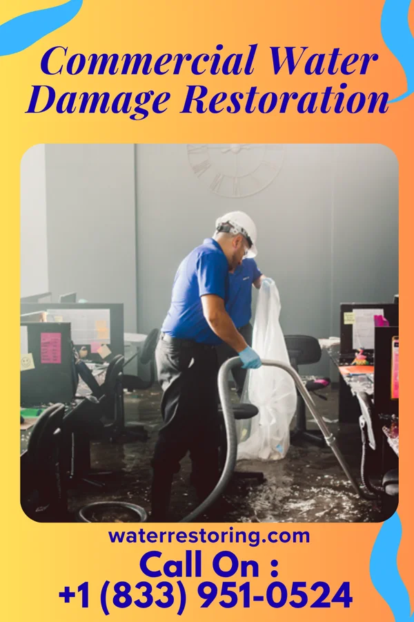 Commercial Water Damage Restoration in Forest Heights, MD