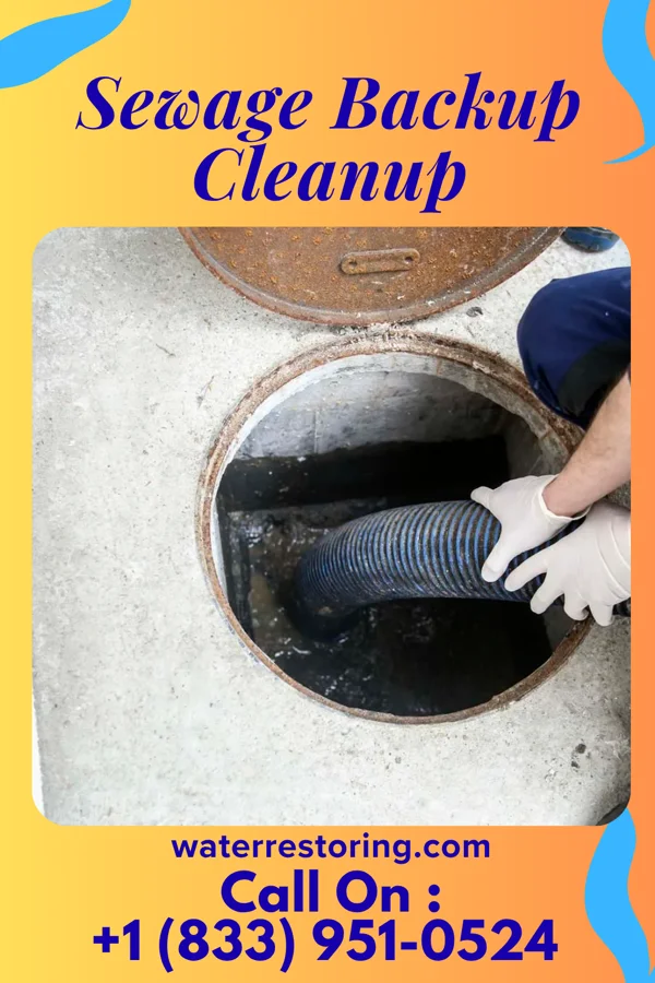 Sewage Backup Cleanup in Forest Heights, MD